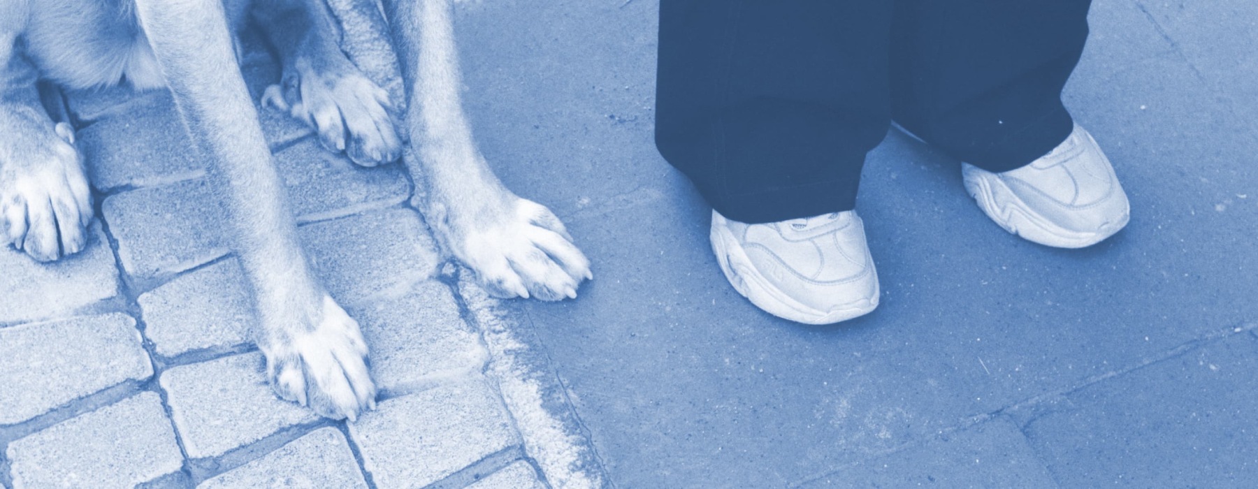 a person standing beside their dog outdoors