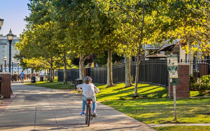 a person riding their bicycle through green areas